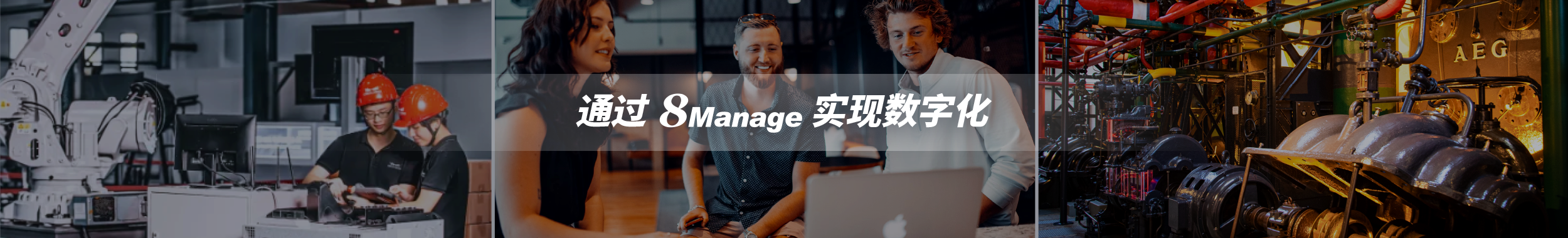 8Manage IT软件 制造业 专业服务 医疗 建筑 金融服务 能源 制药 物业管理 采购 供应商 招标 招投标 竞价 SRM 项目管理 IPD PM PPM 工时管理 CRM 深圳 广州 北京 上海 香港 新加坡 项目管理软件